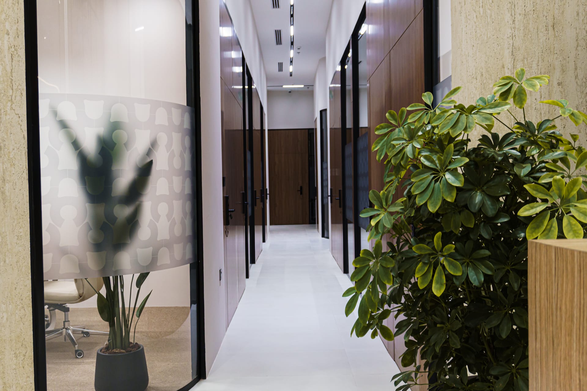 Corridor of private offices at Tasees